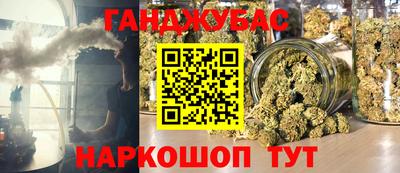 СК Кингисепп