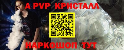 СК Кингисепп