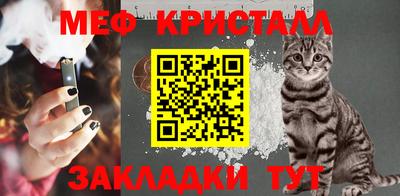 СК Кингисепп