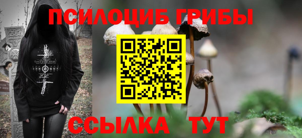 Псилоцибиновые грибы прущие грибы  Вход с VPN  Фурманов 